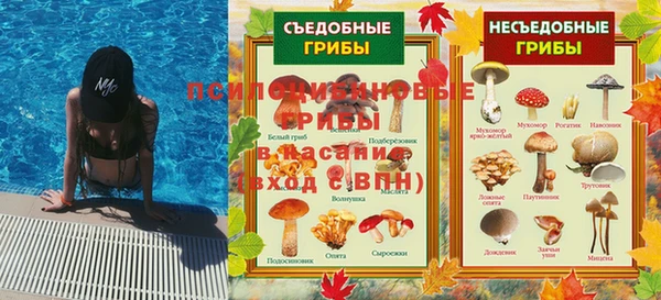 бошки Дмитриев