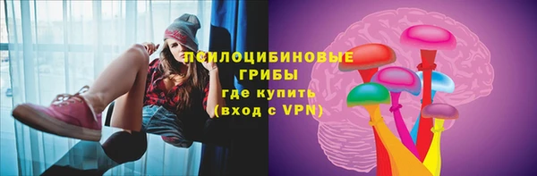 гашик Ельня