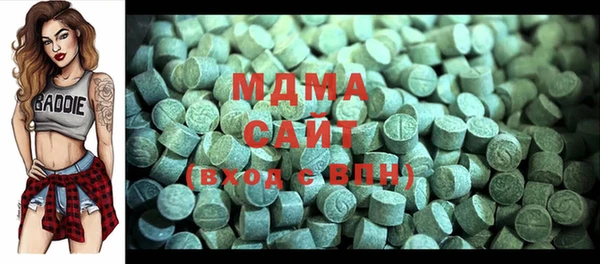 гашик Ельня