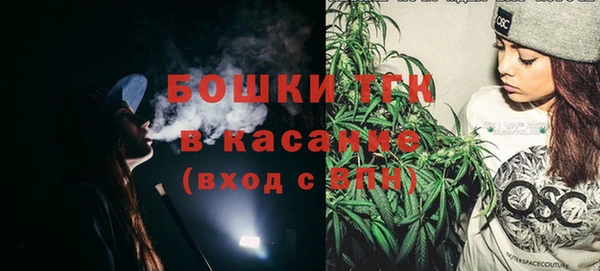гашик Ельня