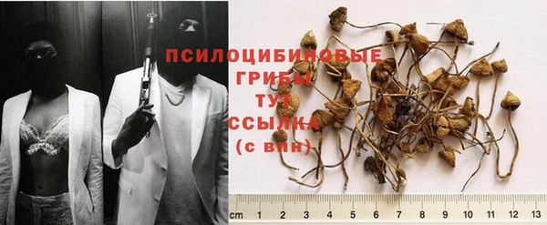 бошки Дмитриев
