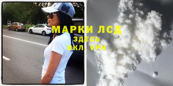 гашик Ельня