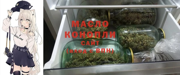 гашик Ельня